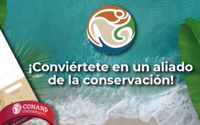 Creación de Áreas Naturales Protegidas a lo largo del Tren Maya.